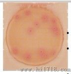 Petrifilm高灵敏度大肠菌群测试片
