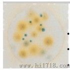 Petrifilm霉菌和酵母菌测试片