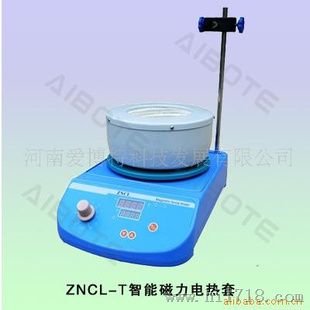 ZNCL—T智能磁力搅拌电热套（器）   
