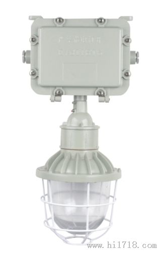 BCJ52 -A照明应急两用防爆灯