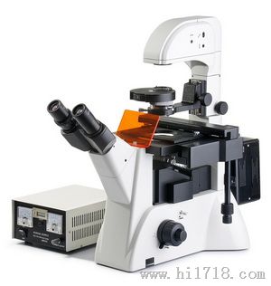 FM-600三目荧光显微镜