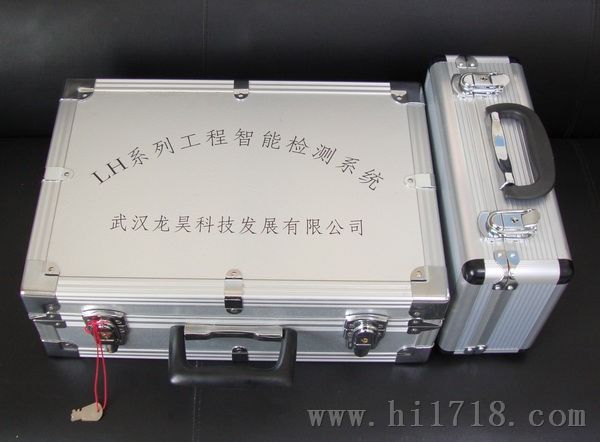 LHMG-Q9锚杆（索）质量无损检测仪