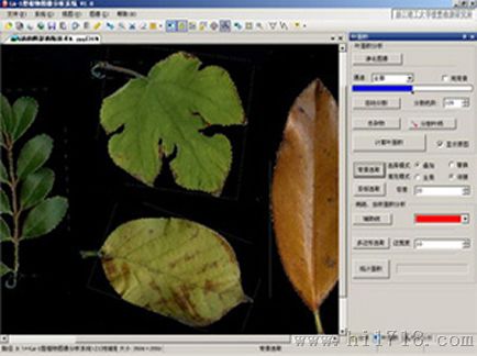 型植物图像分析仪系统LA-S