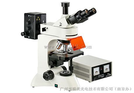 上海MF30荧光显微镜