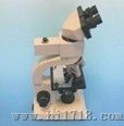德国洪德荧光显微镜