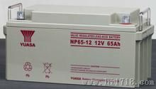 广州蓄电池汤浅-免维护铅酸NP65-12蓄电池价格直销