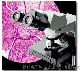 显微镜CX31奥林巴斯（代理商）