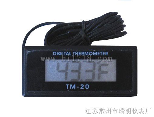 TM-20嵌入式温度显示表 
