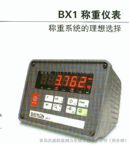 BX1称重控制仪表 原装进口 显示控制器