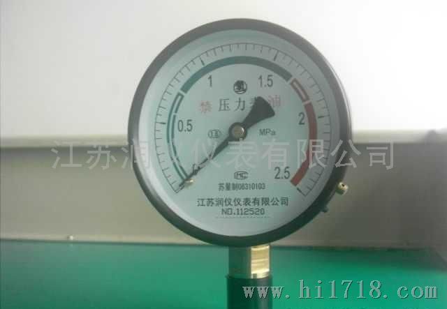 润仪YQ60高氢气压力表
