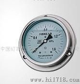 不锈钢耐震轴向带边压力表/304/316/不锈钢压力表