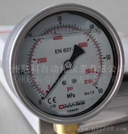 （新）德国DMASS进口液压表