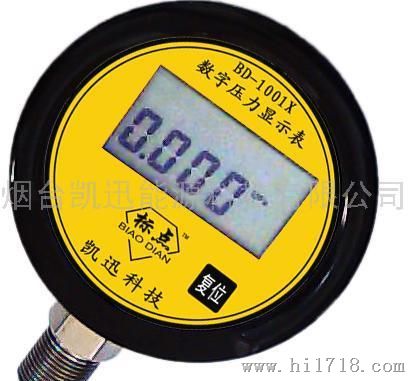 标点BD-1001X-0.6/1.0/1.6数字压力显示表，直观显示压力