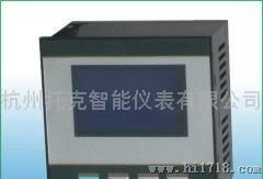 杭州托克TE-TS全自动数码温控表TE-TS49P