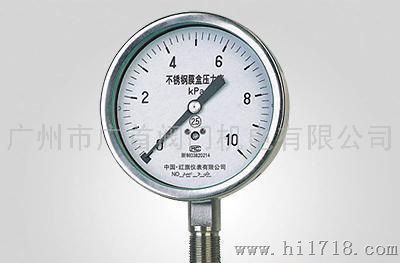 红旗/荣华/富阳/YE-10B不锈钢膜盒压力表