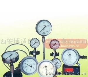 耐腐蚀耐高温压力表YTH-100,150系列