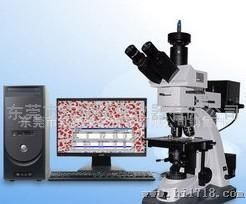 正置金相显微镜6XB-PC 高性价比 现货热销
