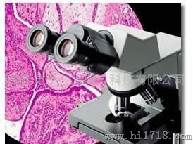 奥林巴斯生物显微镜CX31（代理商）