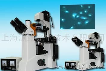 LWD200-37LFT型倒置荧光显微镜