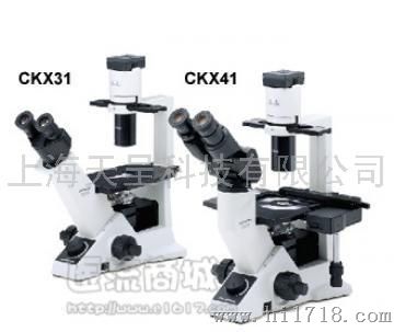 目前低价中！CKX41-A32FL/PH荧光倒置显微镜 医流商城