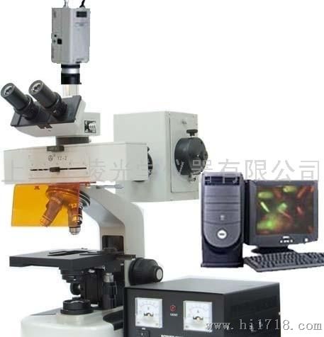 ZFM-100 荧光显微镜