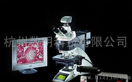 显微镜自动聚焦伺服系统