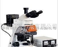纸张检测金相显微镜