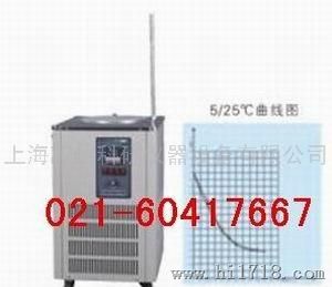 上海英峪科研仪器低温冷却液循环泵DLSB-5L