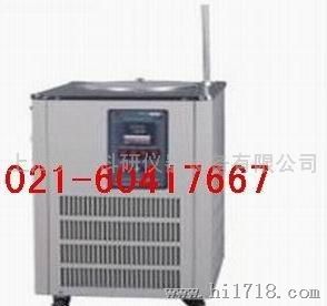 上海英峪科研仪器低温冷却液循环泵DLSB-200L