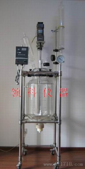 双层玻璃反应釜（器）S212-20L