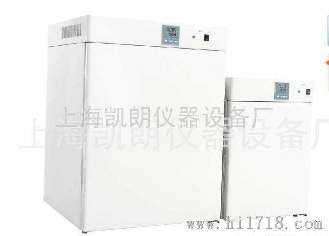 上海凯朗电热恒温培养箱箱
