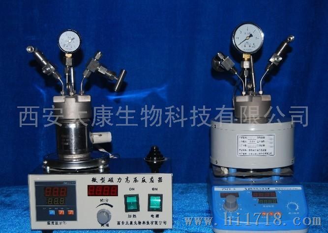 高压反应器，高压反应釜厂家WCGF-50ml-新价格