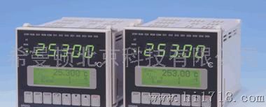 日本岛电SHIMADEN(希曼顿)SR253温控仪表