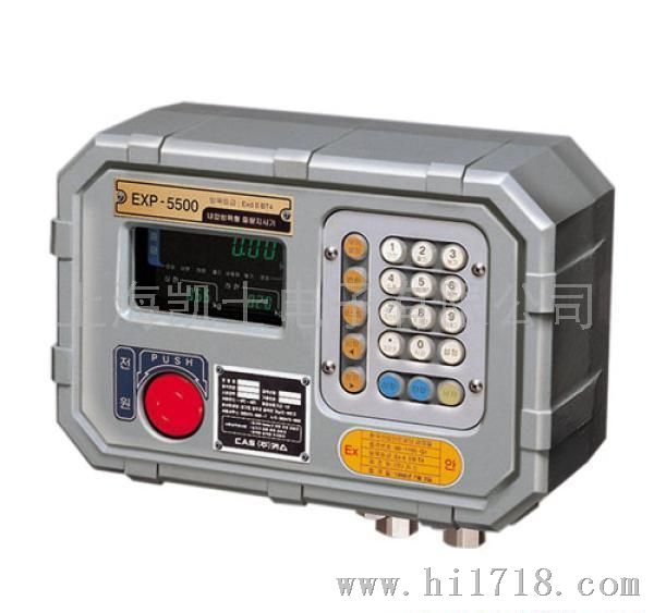 带模拟输出控制仪表EXP-5500防爆控制仪表