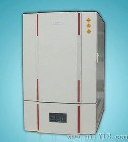 电热鼓风干燥箱DA313C
