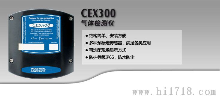 CEX 300 可燃气体检