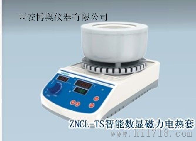 ZNCL-TS  100智能磁力电热套搅拌器