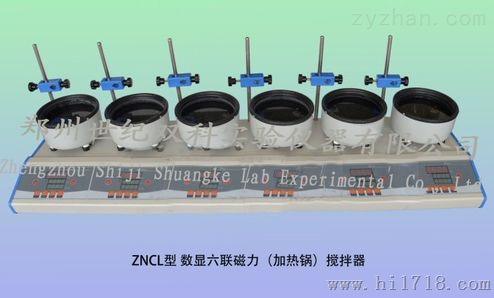 ZNCL-DL型多联数显磁力搅拌器（加热锅）