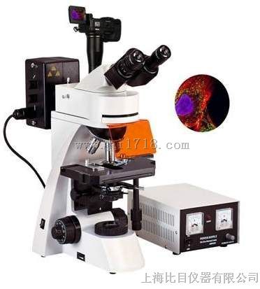 荧光显微镜BFM-600
