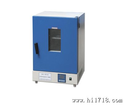 供应立式电热恒温鼓风干燥箱,DGG-9070A,,质优价惠