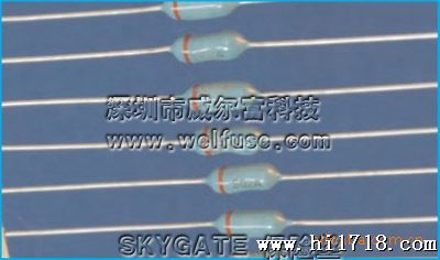 SKYGATE  20N系列保险丝SG电阻式保险丝