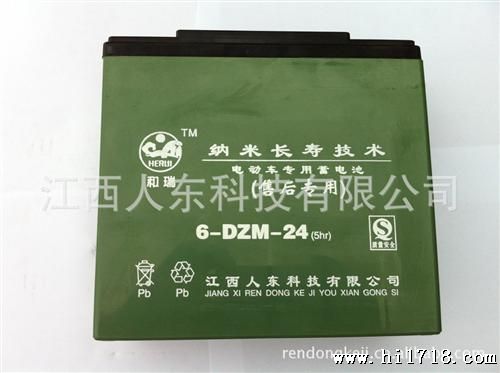 电动车电池  6-DZM-20 48v20ah  铅酸蓄电池  人东牌  电瓶  浙江