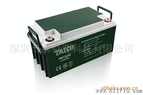（厂家供应）泰科蓄电池（EPS电源）12V65AH