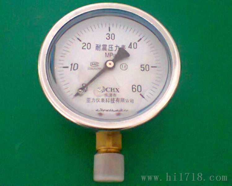 大量供应耐震高压压力表YTN-100型，保修12个月