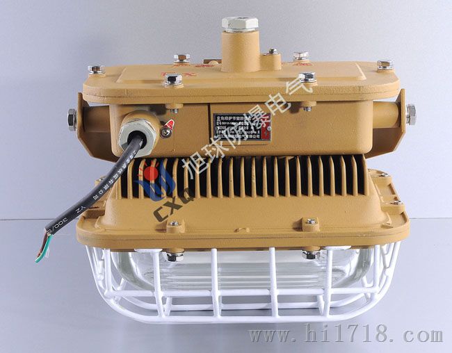 SBD1101-YQL50A免维护管吊式防爆灯