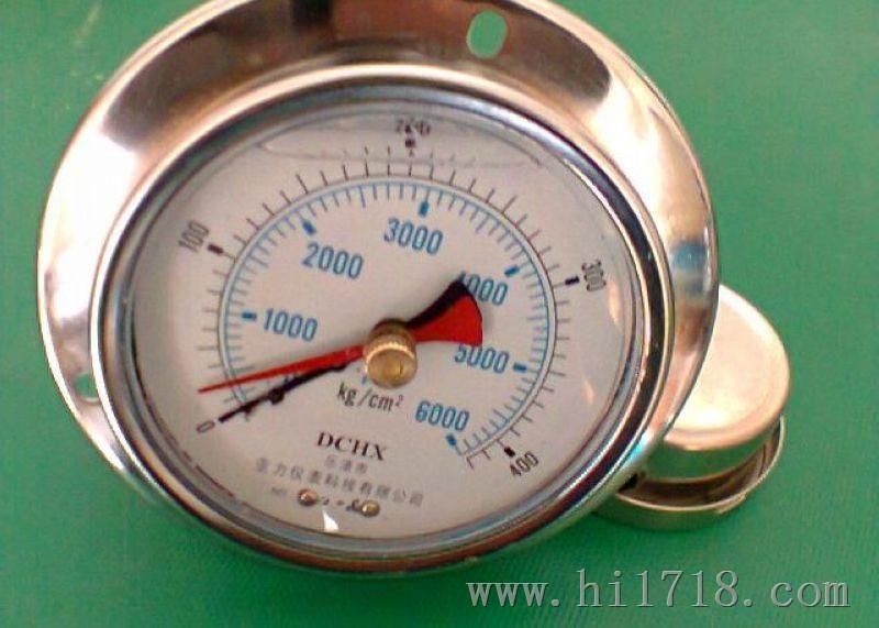 BZY-100ZT双针压力表