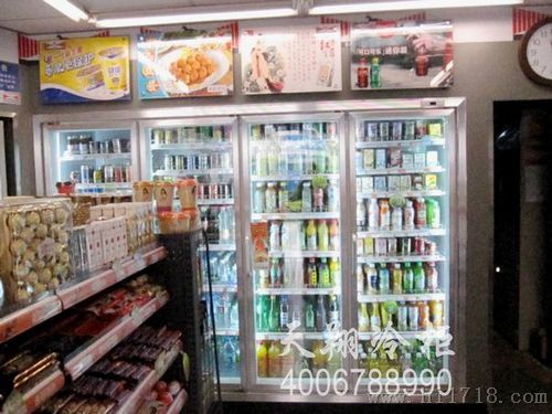 深圳冰柜 冷柜 冷藏柜