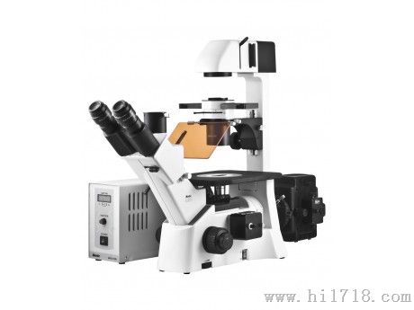 北京倒置荧光显微镜 AE31 有现货