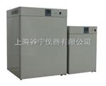 DNP-9272电热培养箱