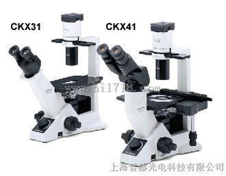 现货奥林巴斯倒置显微镜CKX41（原装进口）